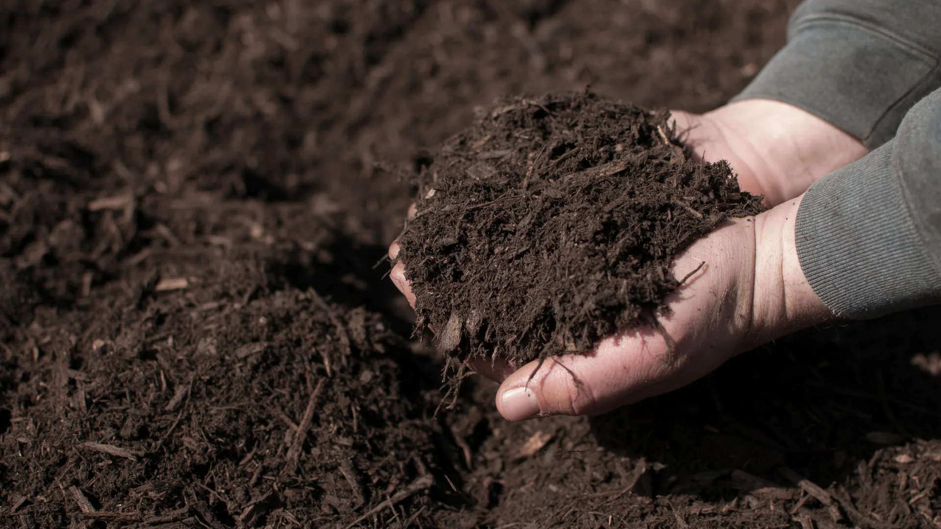 Dark brown mulch in professional's hands in Waukee, IA.