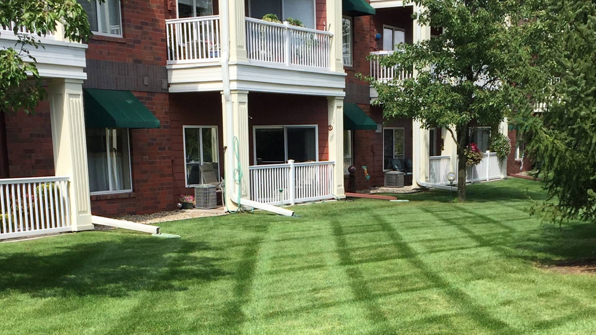 Freshly cut lawn with added patterns in Ankeny, IA.