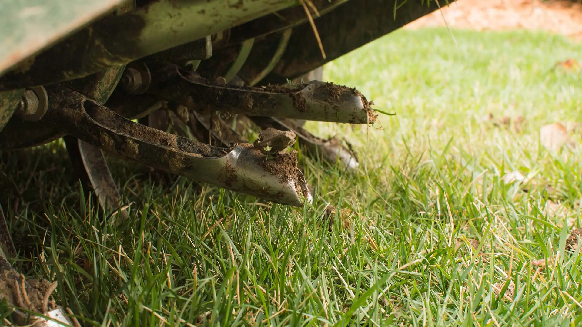 Aeration & Overseeding - Two Services That Should Always Be Combined!