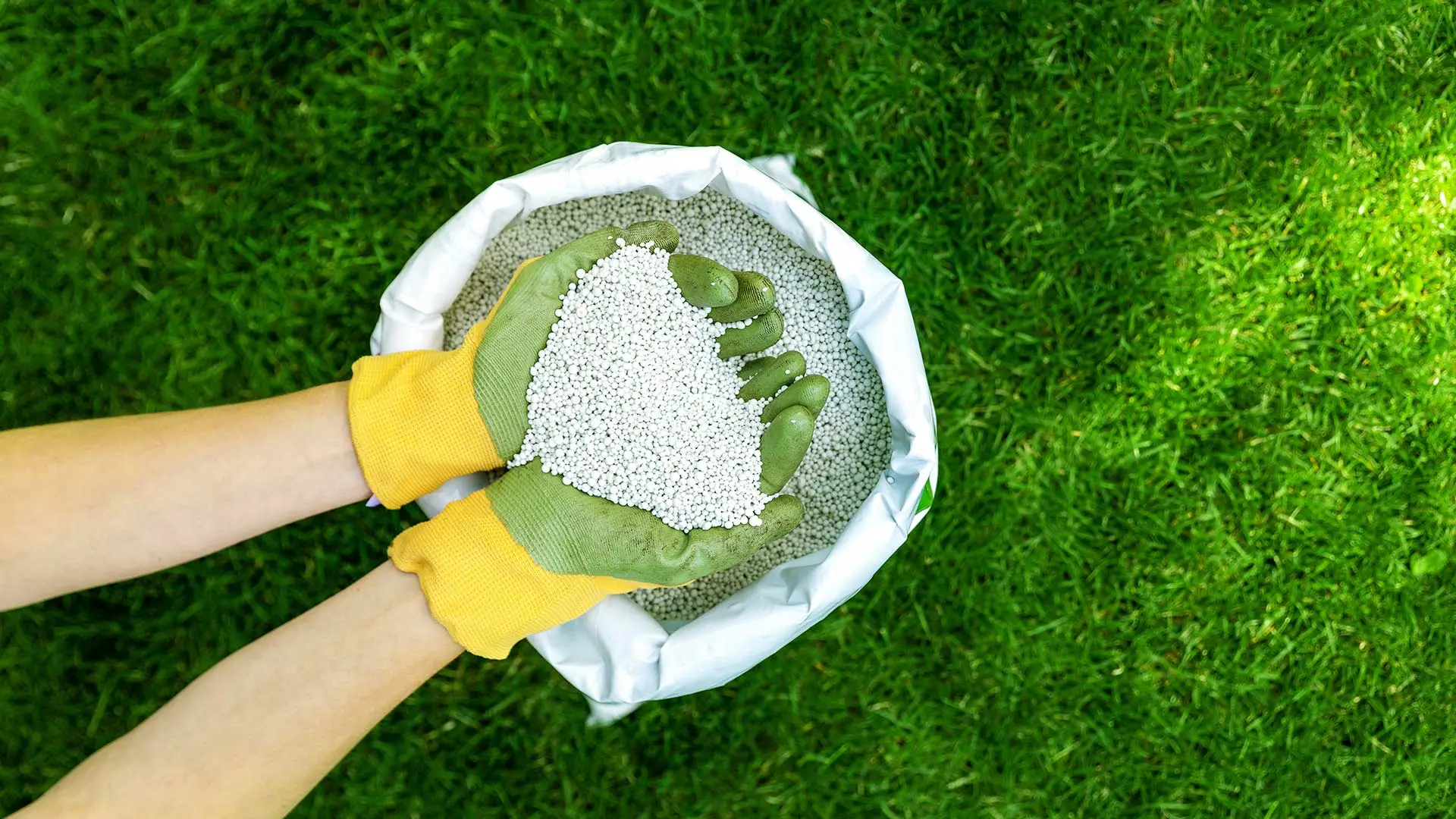 How Often Should I Fertilize My Lawn in Urbandale, IA?