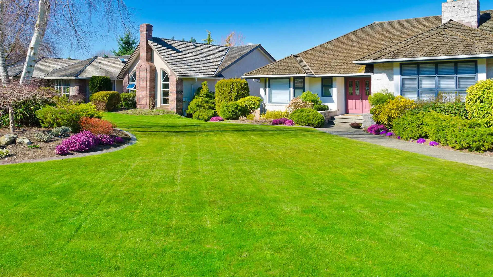 Gorgeous lawn in a neighborhood in Windsor Heights, IA.