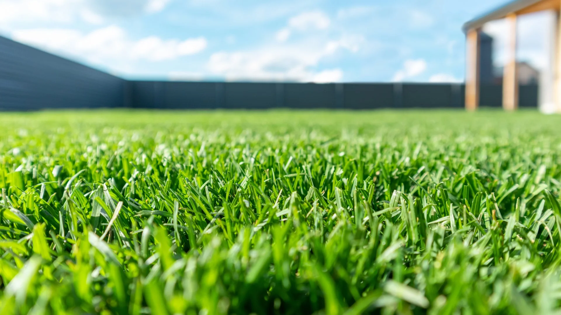 Vibrant green lawn in Waukee, IA.