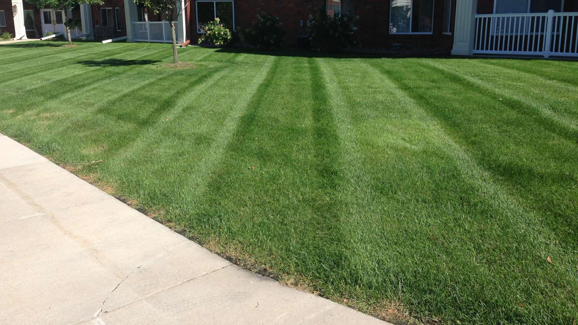 Mowed lawn with patterns beside a complex in Grimes, IA.