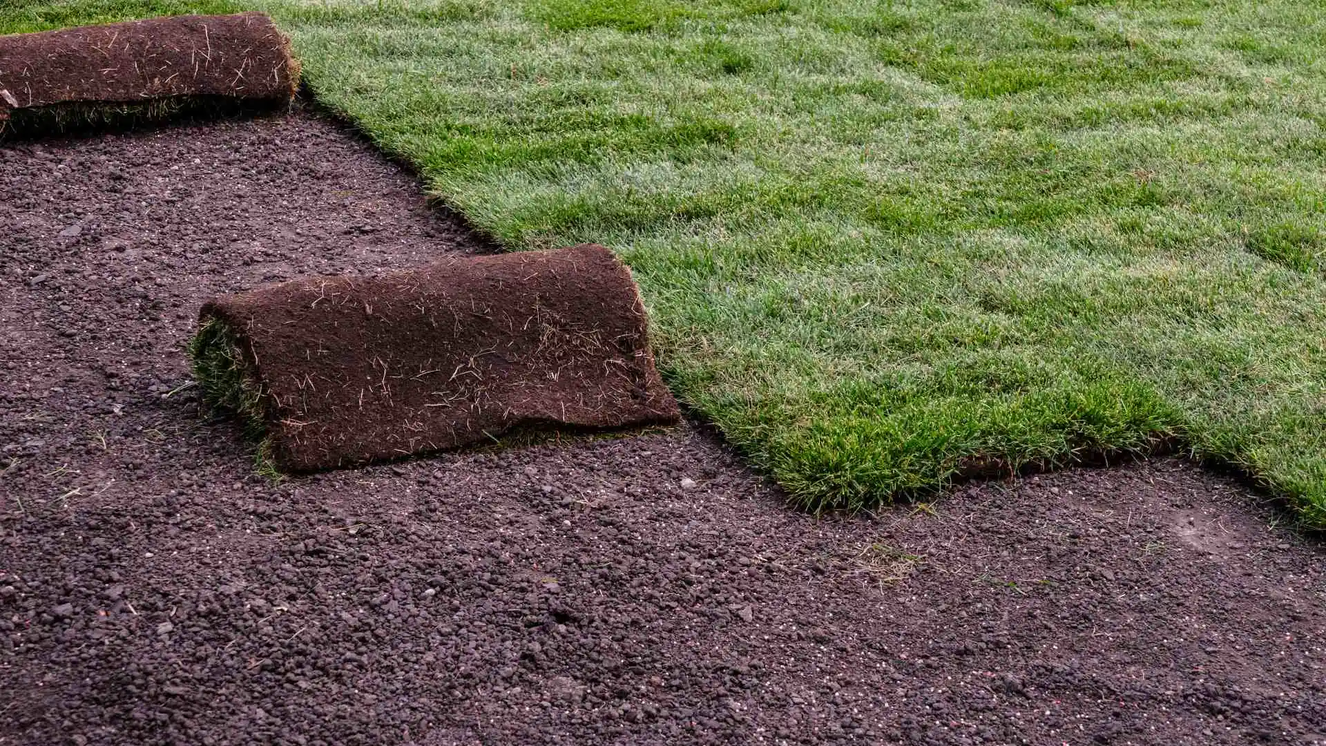 Rolled out sod in lawn in Waukee, IA.