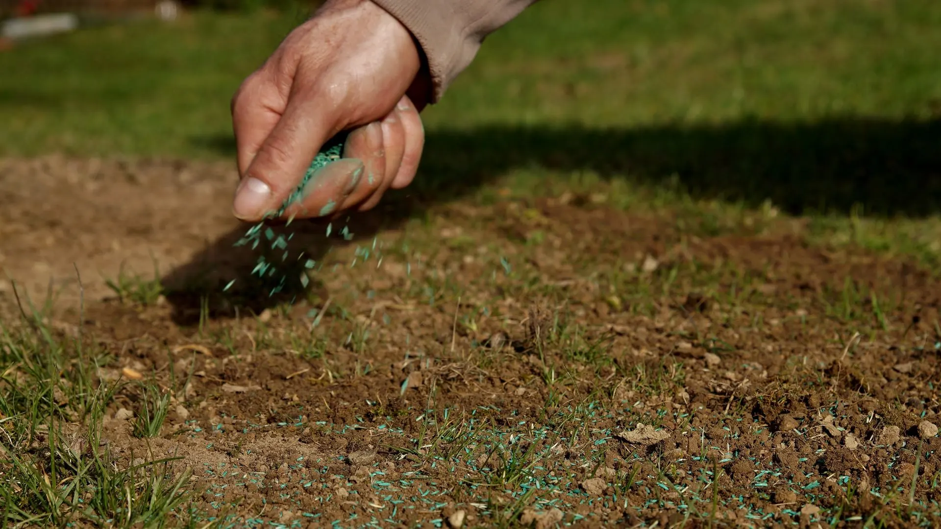 Seeds being applied to bare patch of lawn in Waukee, IA.