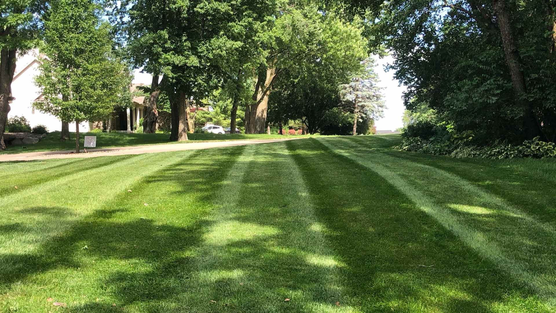 Freshly mowed lawn with pattern in Urbandale, IA.