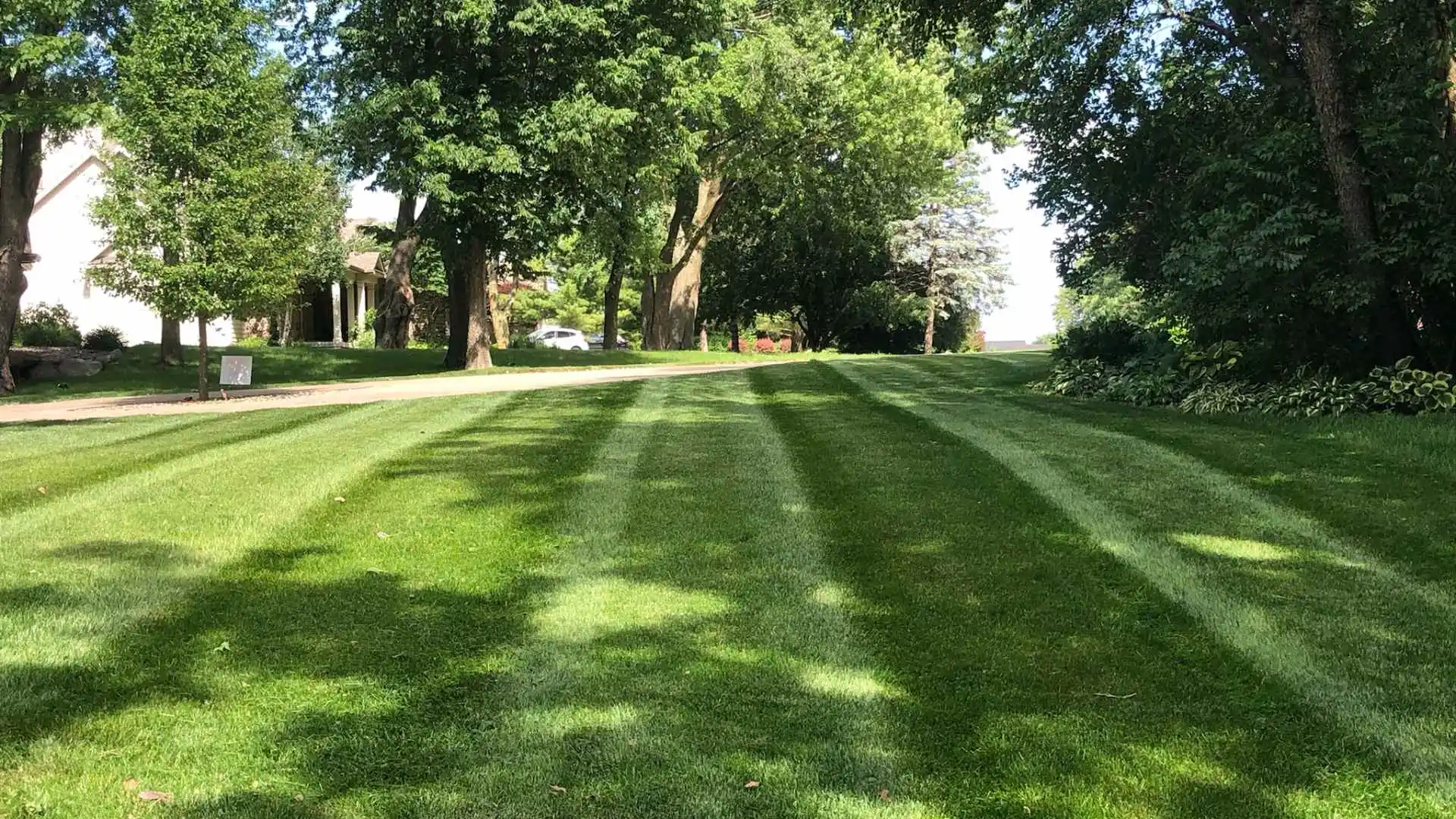 Freshly mowed lawn with pattern in Urbandale, IA.