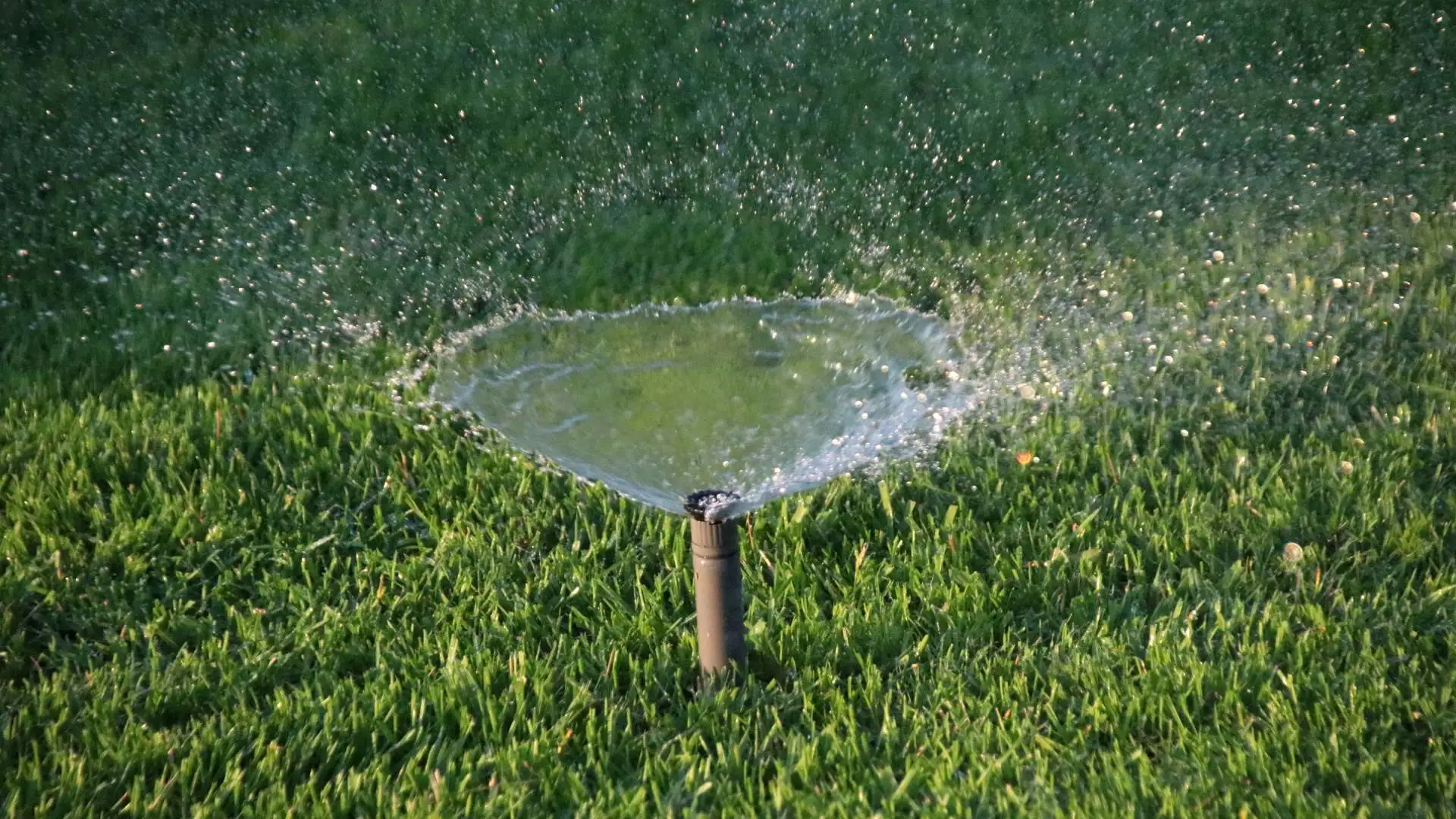 Watering sprinkler system in lawn in Waukee, IA.
