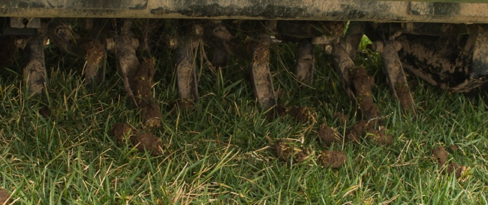 Aerator machine with core plugs outputted onto lawn in Ankeny, IA.