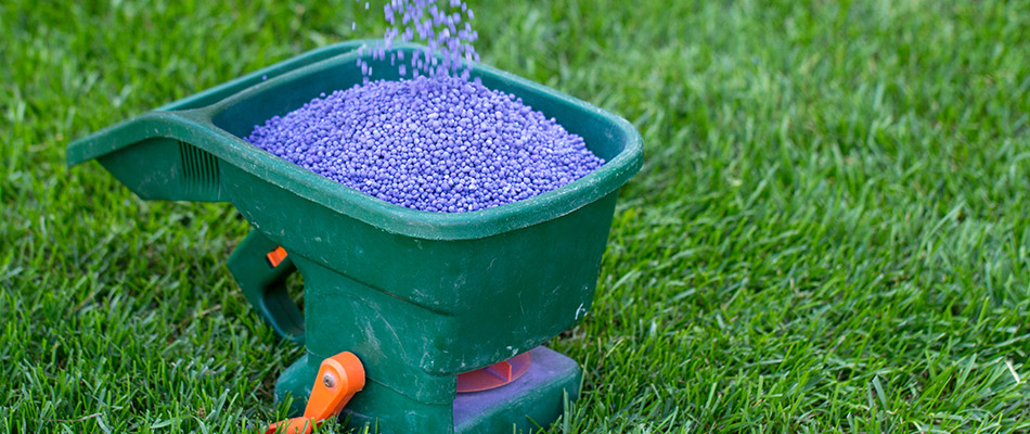 Granular lawn fertilizer being added to a dispenser to spread on a lawn near Urbandale, IA.