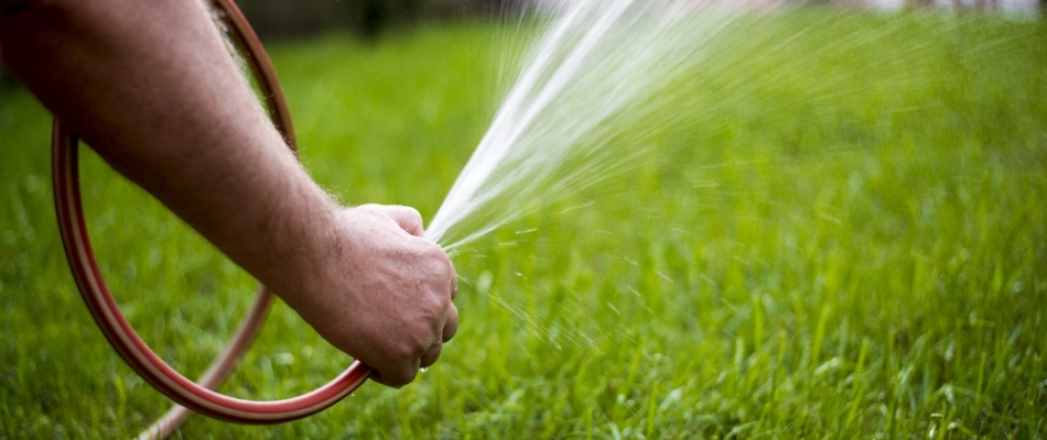 Hand watering newly installed sod in yard in Des Moines, IA.