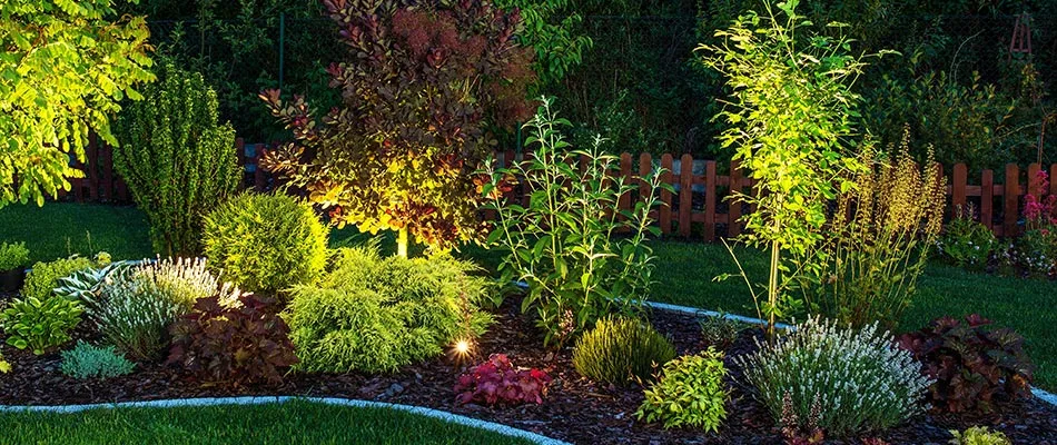 Landscape lighting installed in a gorgeous landscape bed in the backyard of a loyal customer in Clive, IA.