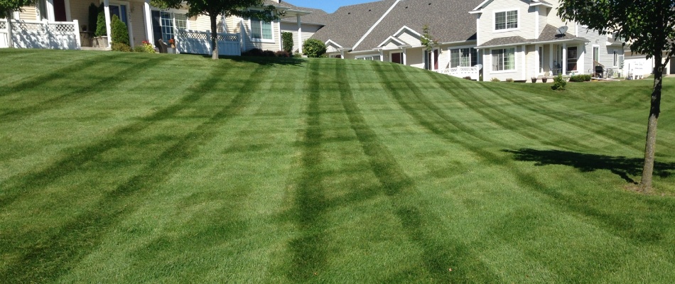 Freshly mowed lawn with stripe patterns in Ankeny, IA.