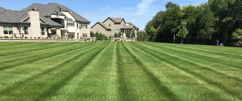Mowed lawn with striped patterns in Ankeny, IA.