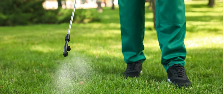 Lawn care professional applying a weed control spray to a lawn near Clive, IA.