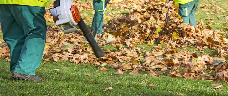 Professionals blowing and raking leaves into piles to remove from a customer's property in Des Moines, IA.