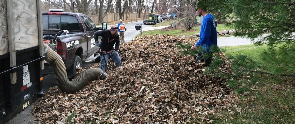 Professionals with vacuum truck taking in leaves from yard in Waukee, IA.