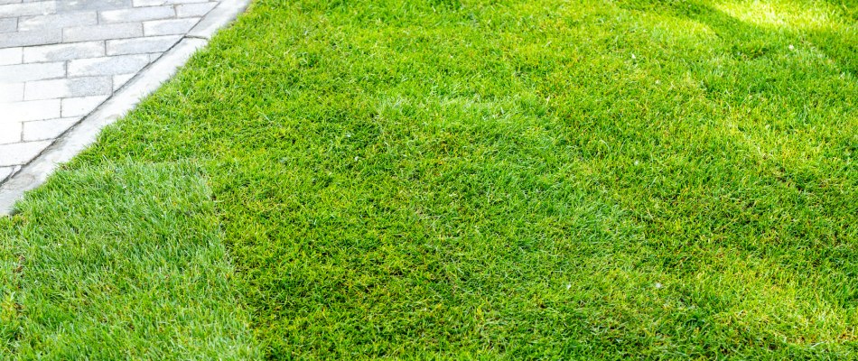 New sod installed for client in Waukee, IA.