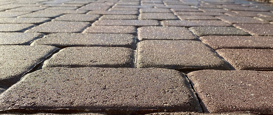 Pavers up close that have been cleaned and sealed for longevity in and around Des Moines, IA.