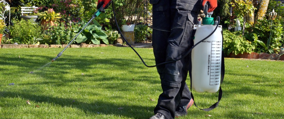 Professional applying pest control treatment over lawn in Grimes, IA.