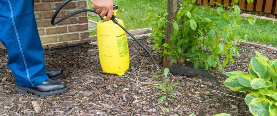 Landscape bed weed control treatment applied in Grimes, IA.