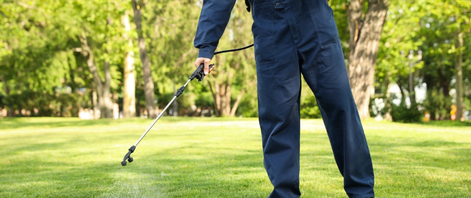 Professional spraying weed control treatment to lawn in Grimes, IA.