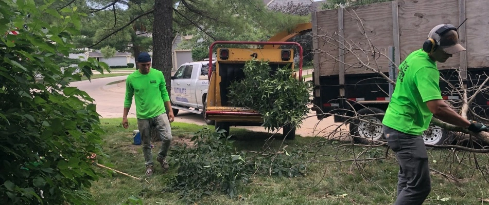 Tree trimming done by Ultimate in Grimes, IA.
