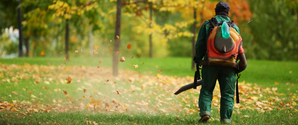Professional using backpack leaf blower in yard in Ankeny, IA.
