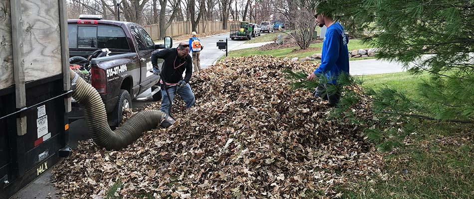 Ultimate Lawn Services experts performing leaf removal service with truck and vacuum in Grimes, IA.