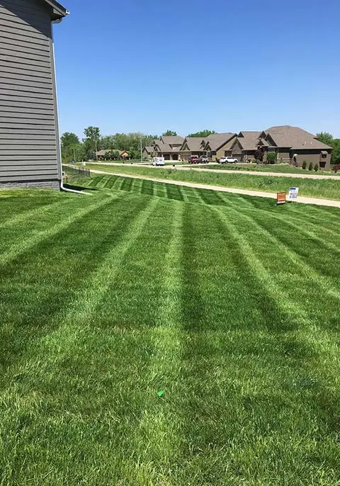 Beautiful, green lawn grass at a home in Urbandale, IA.